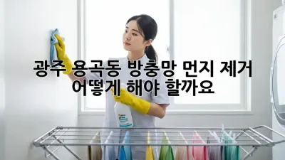 광주 용곡동 방충망 먼지 제거, 어떻게 해야 할까요?